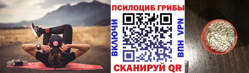 как найти закладки  Шарья  Псилоцибиновые грибы Cubensis 