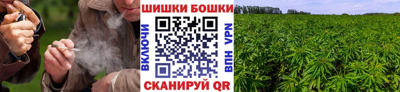 shop какой сайт  Шарья  МАРИХУАНА гибрид  сколько стоит 